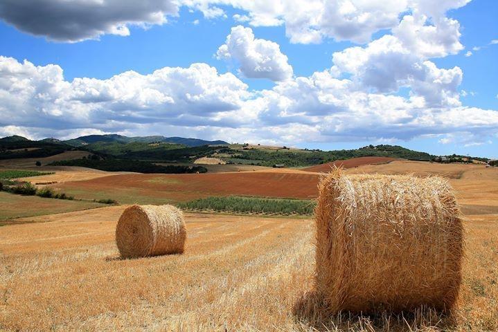 מוטספרטולי Appartamento Old England In Chianti מראה חיצוני תמונה